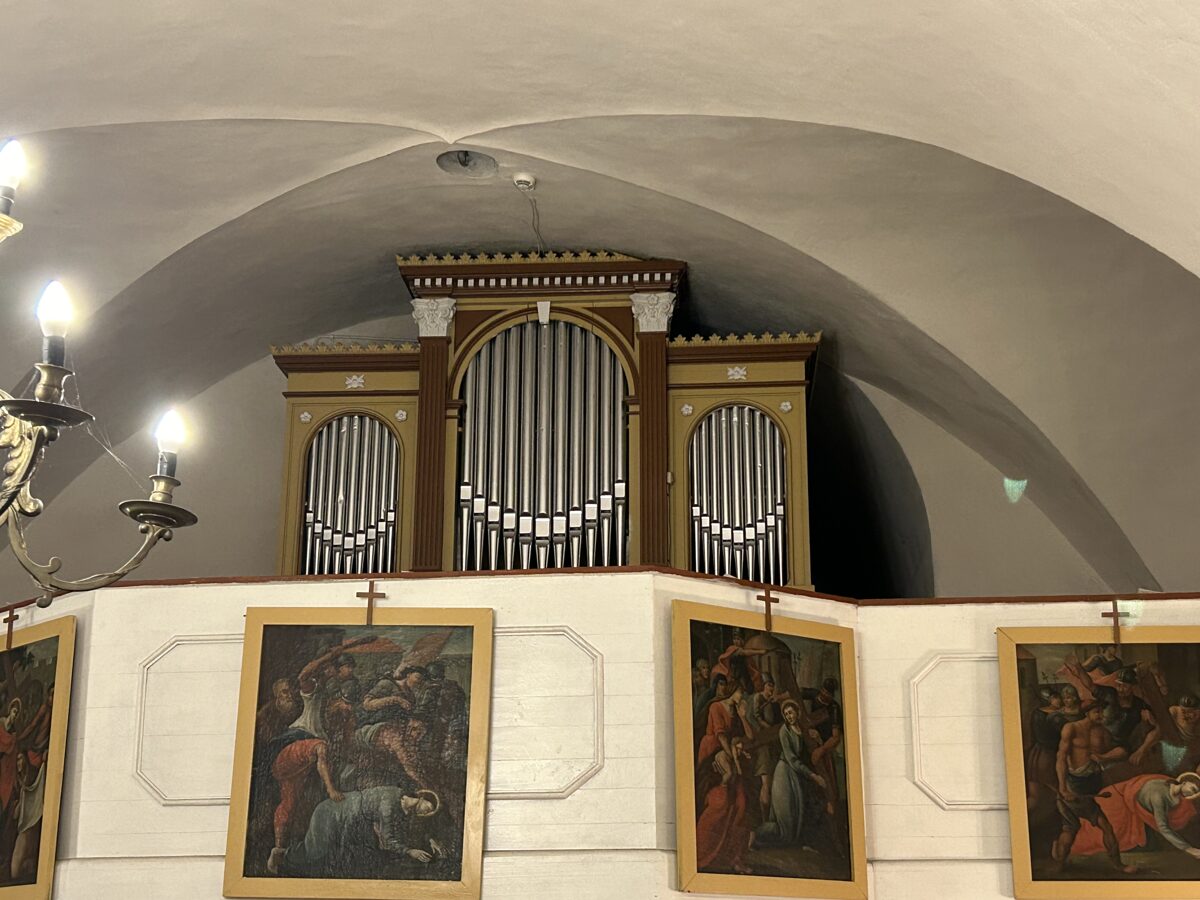 IMG_3136.jpeg